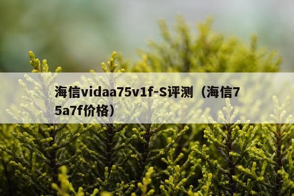 海信vidaa75v1f-S评测（海信75a7f价格）