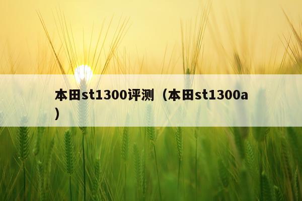本田st1300评测（本田st1300a）
