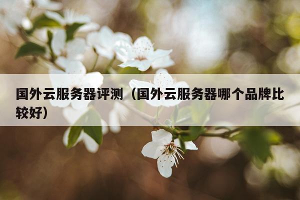 国外云服务器评测（国外云服务器哪个品牌比较好）