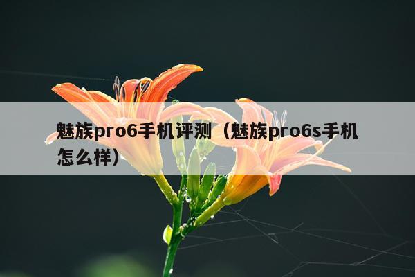 魅族pro6手机评测（魅族pro6s手机怎么样）