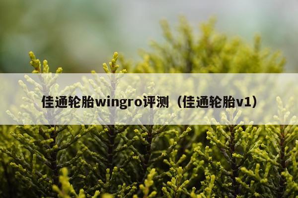 佳通轮胎wingro评测（佳通轮胎v1）