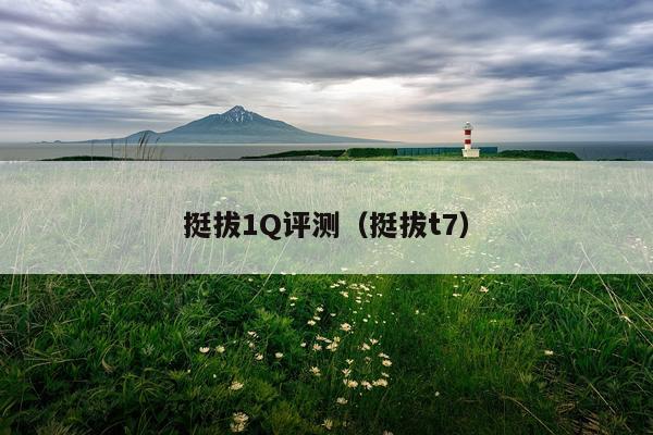 挺拔1Q评测（挺拔t7）