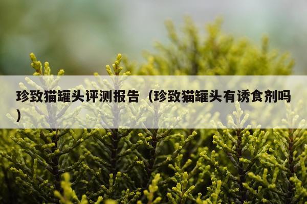 珍致猫罐头评测报告（珍致猫罐头有诱食剂吗）