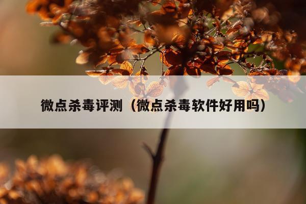 微点杀毒评测（微点杀毒软件好用吗）
