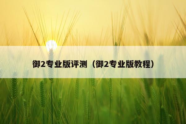 御2专业版评测（御2专业版教程）