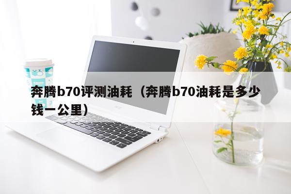 奔腾b70评测油耗（奔腾b70油耗是多少钱一公里）