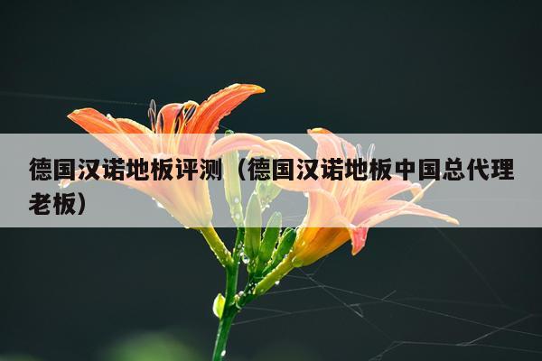 德国汉诺地板评测（德国汉诺地板中国总代理老板）