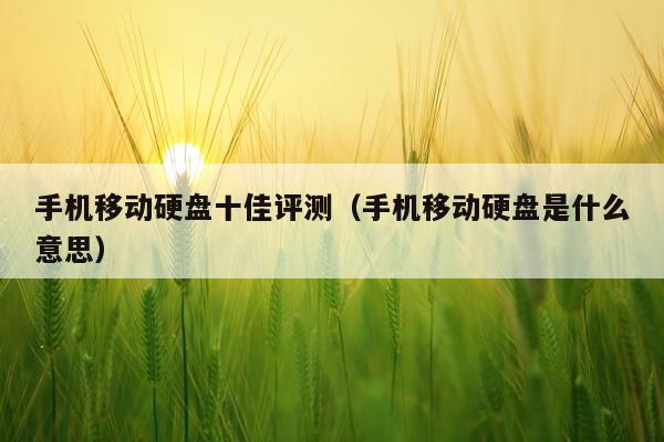 手机移动硬盘十佳评测（手机移动硬盘是什么意思）