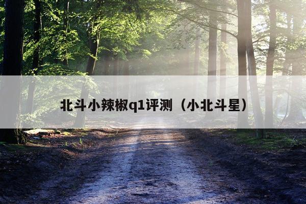 北斗小辣椒q1评测（小北斗星）