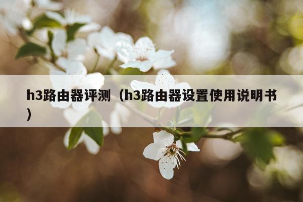 h3路由器评测（h3路由器设置使用说明书）