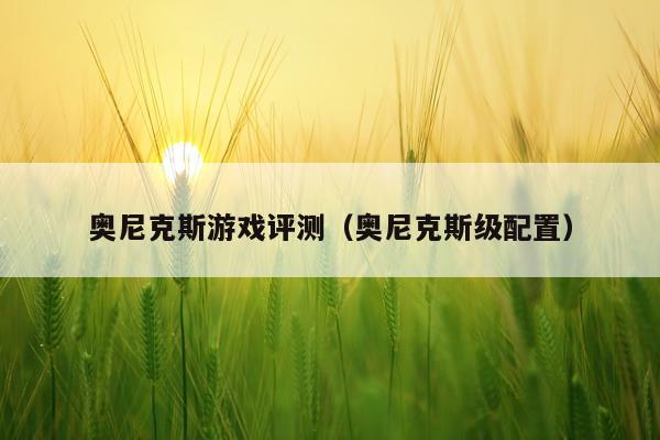 奥尼克斯游戏评测（奥尼克斯级配置）