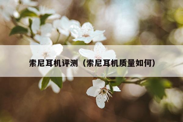 索尼耳机评测（索尼耳机质量如何）