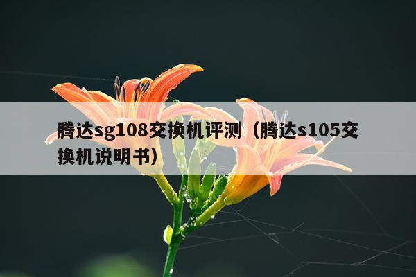 腾达sg108交换机评测（腾达s105交换机说明书）
