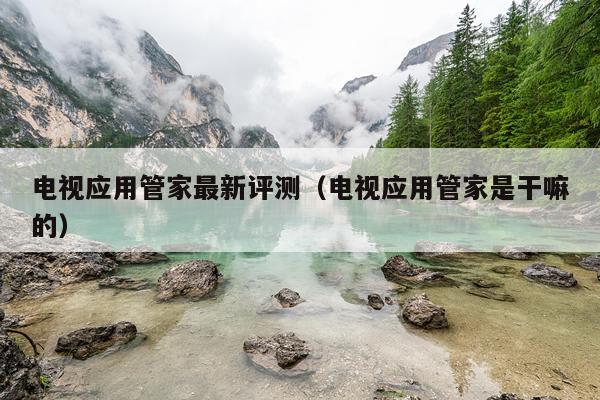 电视应用管家最新评测（电视应用管家是干嘛的）