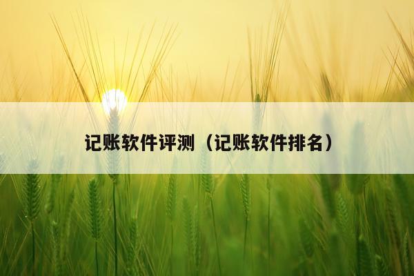记账软件评测（记账软件排名）