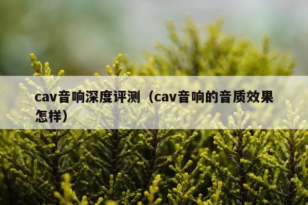 cav音响深度评测（cav音响的音质效果怎样）