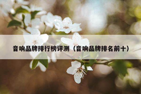 音响品牌排行榜评测（音响品牌排名前十）