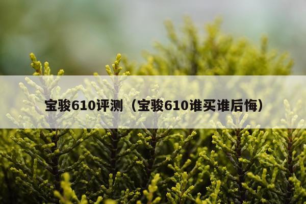 宝骏610评测（宝骏610谁买谁后悔）