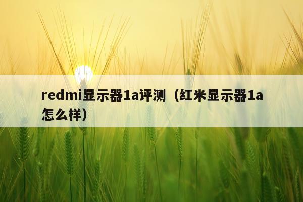 redmi显示器1a评测（红米显示器1a怎么样）