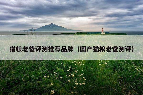 猫粮老爸评测推荐品牌（国产猫粮老爸测评）
