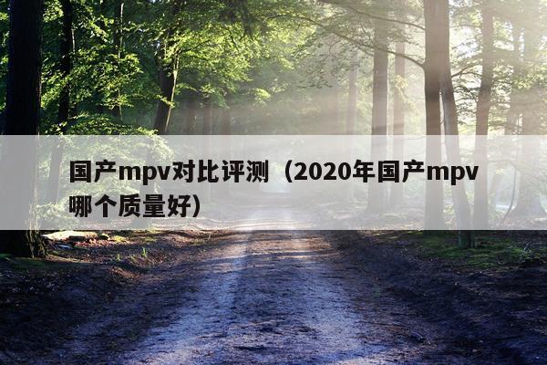 国产mpv对比评测（2020年国产mpv哪个质量好）