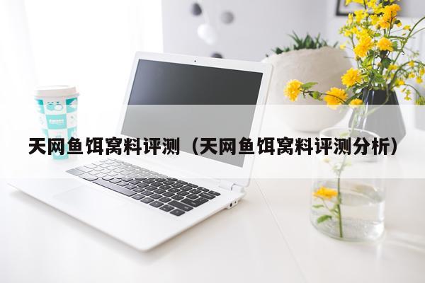 天网鱼饵窝料评测（天网鱼饵窝料评测分析）