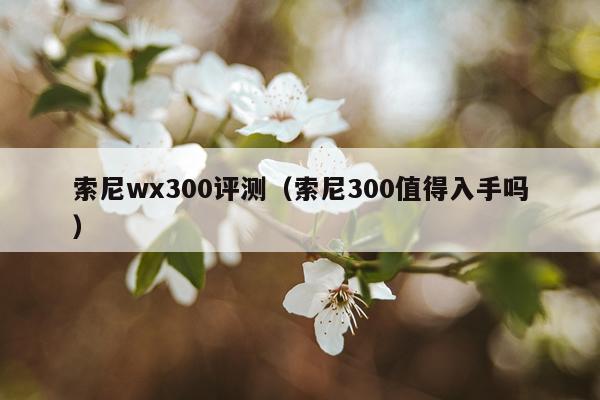索尼wx300评测（索尼300值得入手吗）