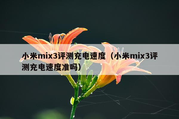 小米mix3评测充电速度（小米mix3评测充电速度准吗）