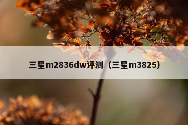三星m2836dw评测（三星m3825）