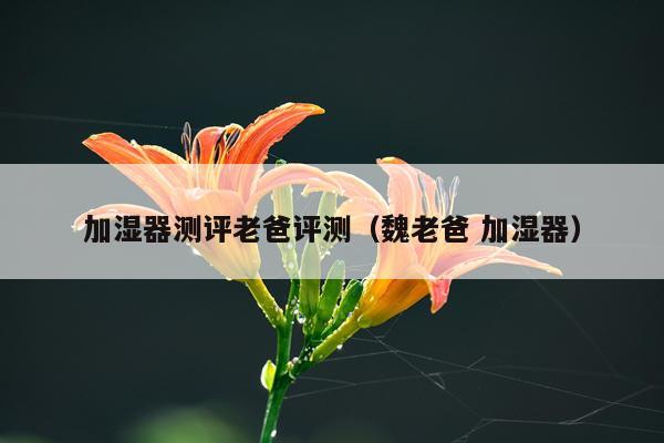 加湿器测评老爸评测（魏老爸 加湿器）