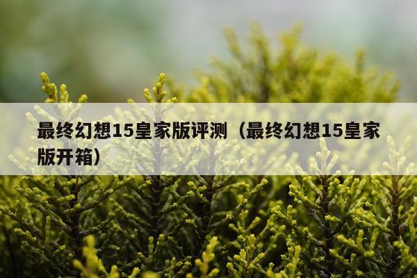 最终幻想15皇家版评测（最终幻想15皇家版开箱）