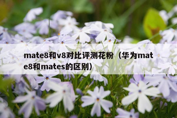 mate8和v8对比评测花粉（华为mate8和mates的区别）