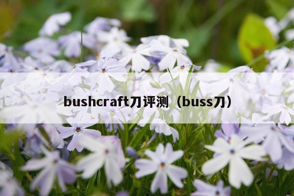 bushcraft刀评测（buss刀）