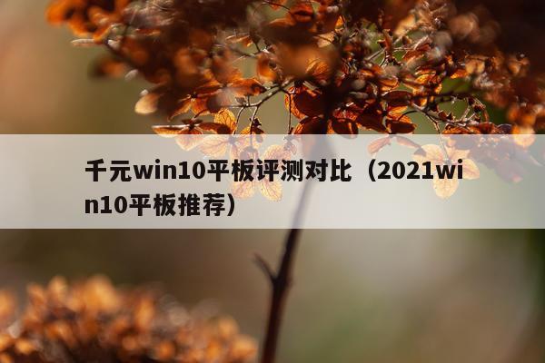 千元win10平板评测对比（2021win10平板推荐）