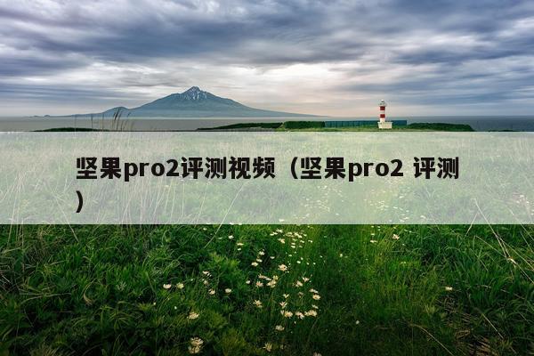坚果pro2评测视频（坚果pro2 评测）