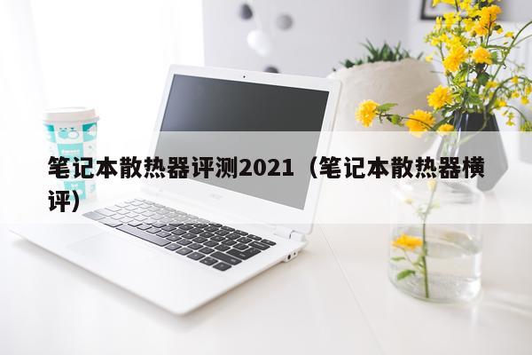 笔记本散热器评测2021（笔记本散热器横评）