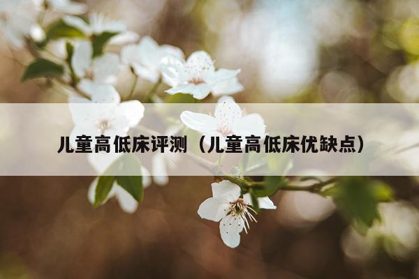 儿童高低床评测（儿童高低床优缺点）