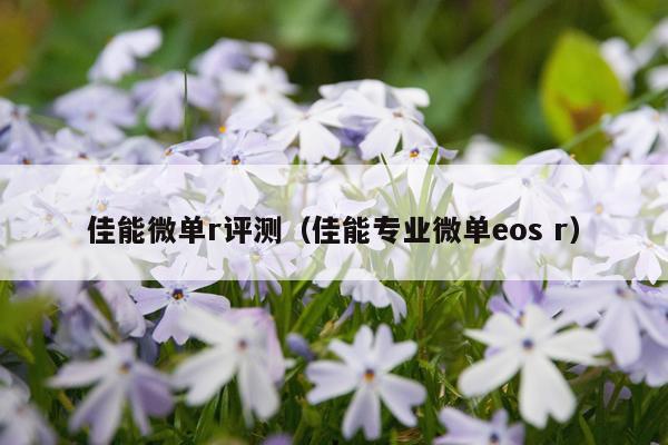 佳能微单r评测（佳能专业微单eos r）