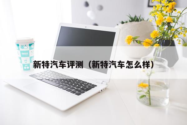 新特汽车评测（新特汽车怎么样）