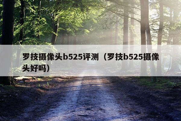 罗技摄像头b525评测（罗技b525摄像头好吗）
