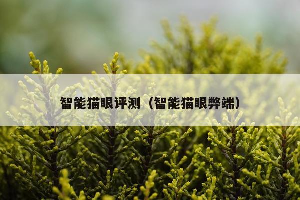 智能猫眼评测（智能猫眼弊端）