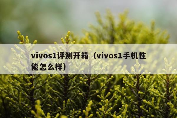 vivos1评测开箱（vivos1手机性能怎么样）