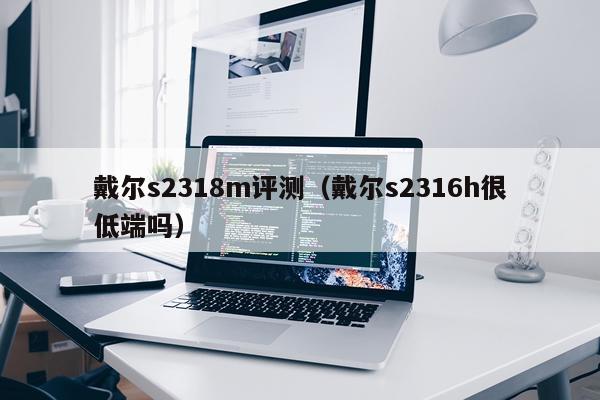戴尔s2318m评测（戴尔s2316h很低端吗）