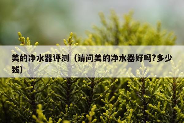 美的净水器评测（请问美的净水器好吗?多少钱）