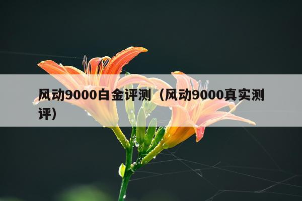 风动9000白金评测（风动9000真实测评）