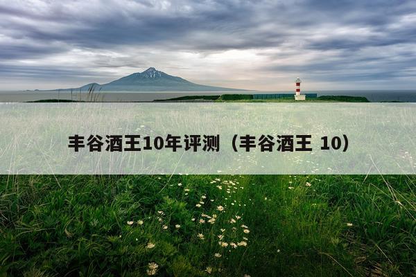丰谷酒王10年评测（丰谷酒王 10）
