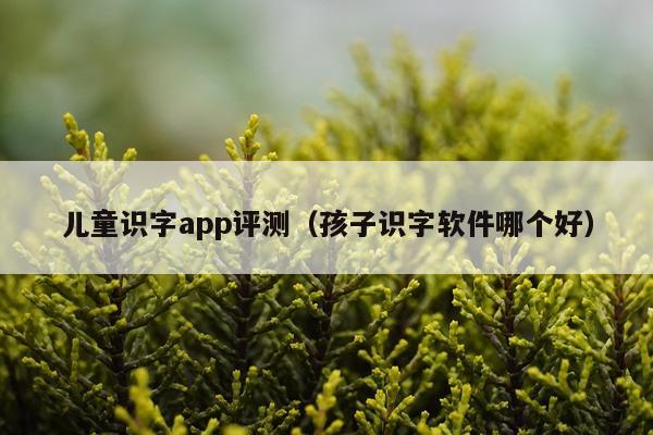 儿童识字app评测（孩子识字软件哪个好）