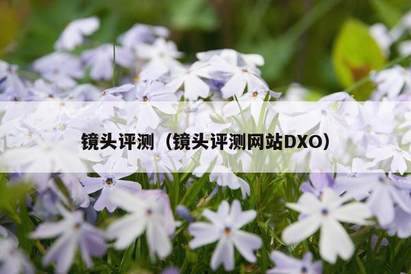 镜头评测（镜头评测网站DXO）
