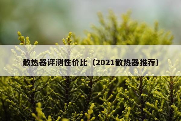 散热器评测性价比（2021散热器推荐）