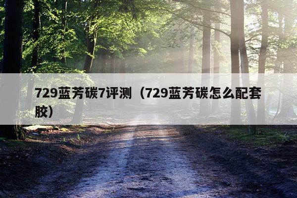 729蓝芳碳7评测（729蓝芳碳怎么配套胶）